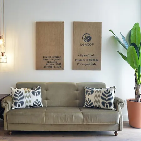 Apartamento Spot Casa Januario