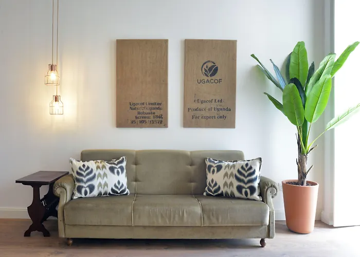 Spot Casa Januario *