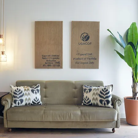 Spot Casa Januario *